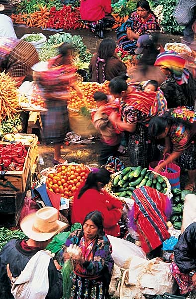 009d59e4d250b44a169f1a410fcbce1c