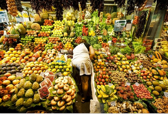 e4e764d218f03820d907fdcc97e0e12a