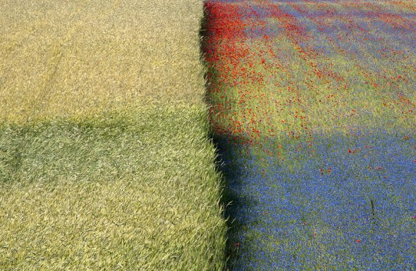 sony-world-photography-awards-2013-14