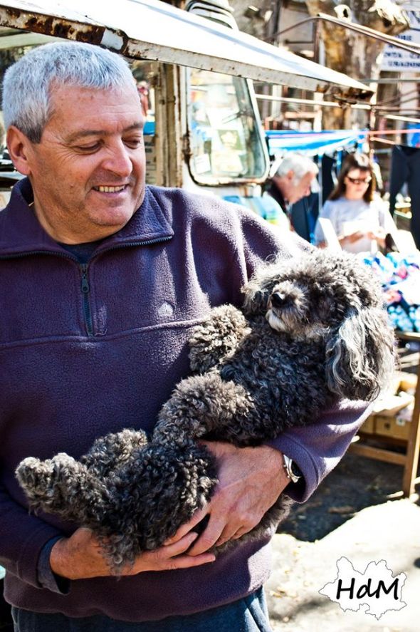 1397919_739036889444340_90838489_o