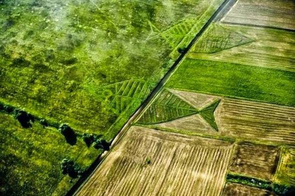 10402862_648246211924182_2617075044370956818_n