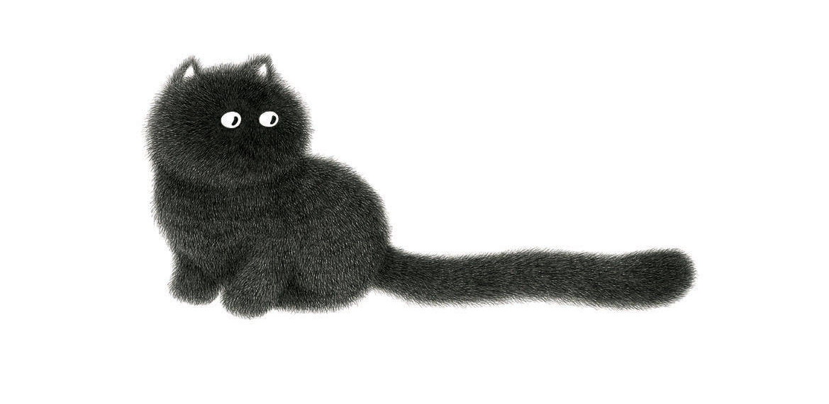 fluffy-cats-7