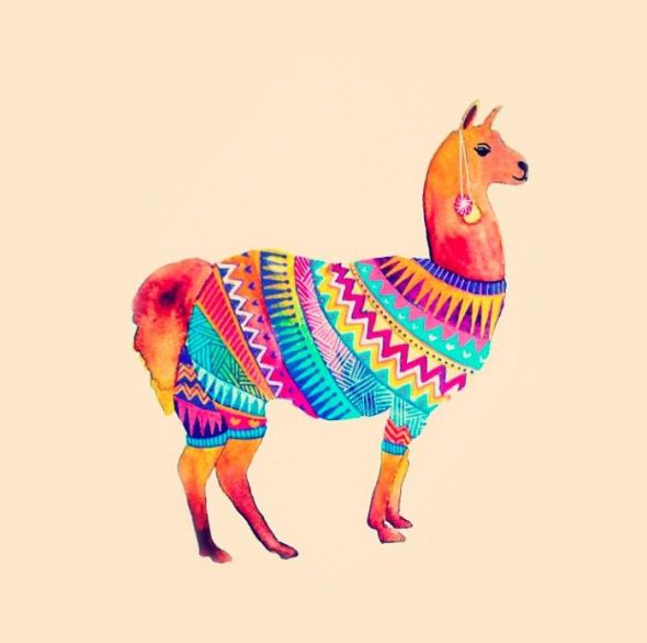 80f6f5492aeb0dd799689472365a66ed