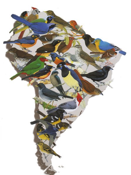 269786_10150301368728524_2802505_n