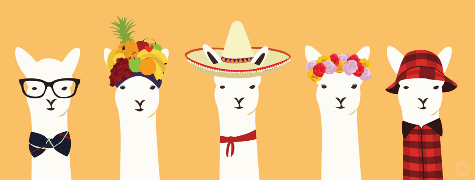 1922253_581199891956716_854918981_n