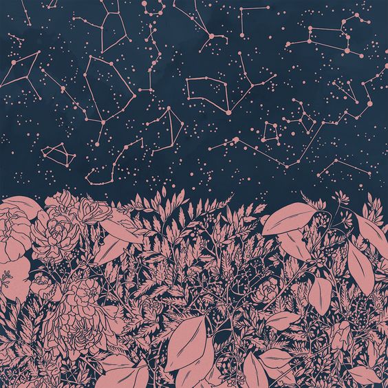 140fa88d8578ea7dc5b4f69b410188fb