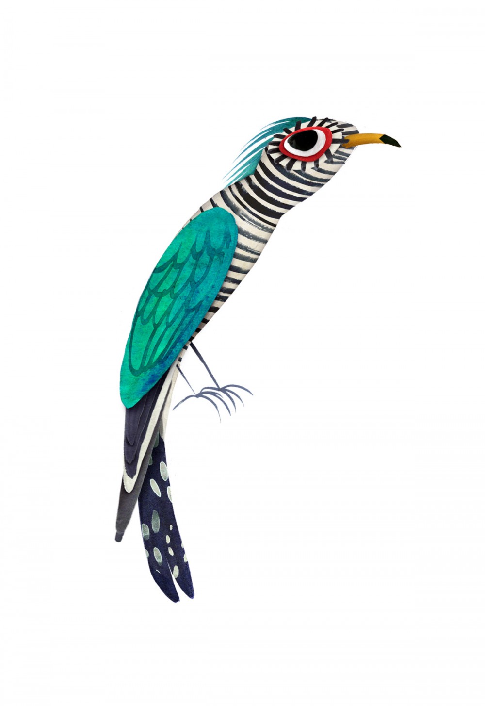 Asian_emerald_cuckoo_brendan_wenzel-1000x1455