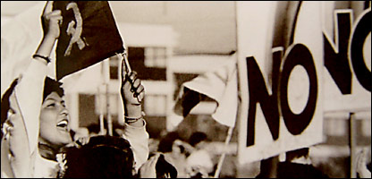 _45069841_pino416x200b