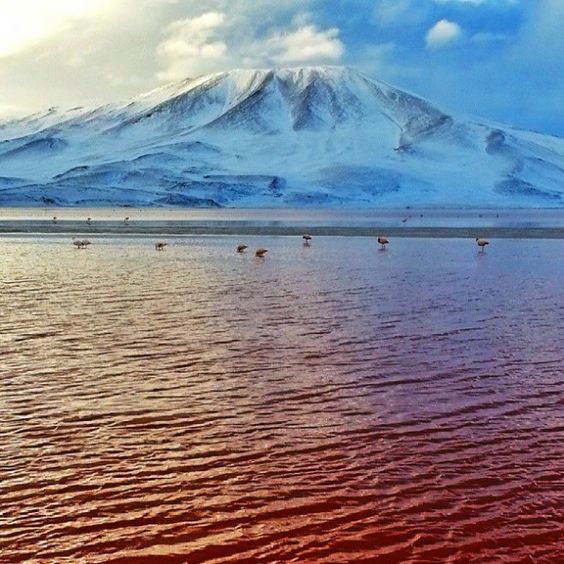 bff84185efec61d0c15389dcc22500df