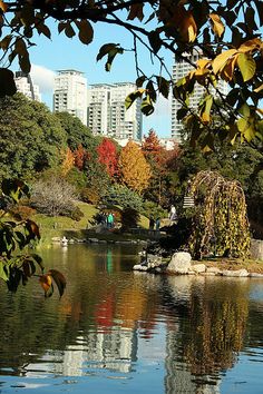 4cc77866133cc91ad918b4cf1e74c07d