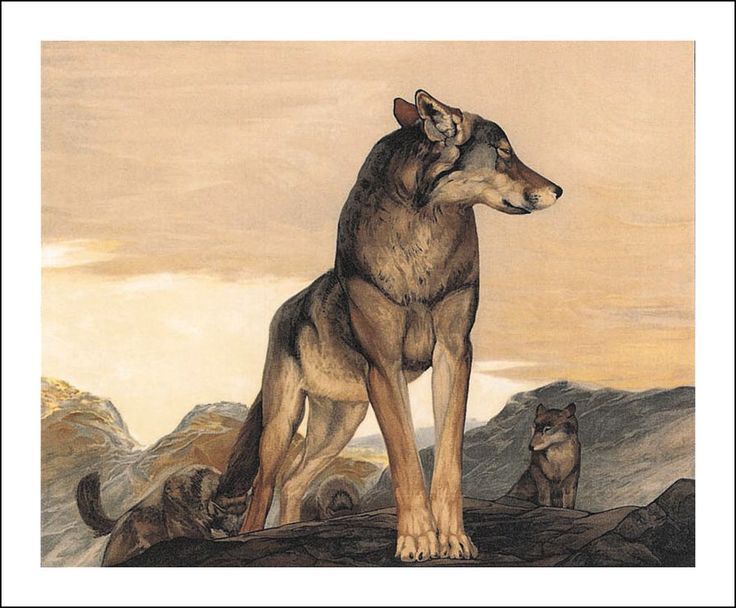 3c17aa9c7818460b74938be78dc049a4