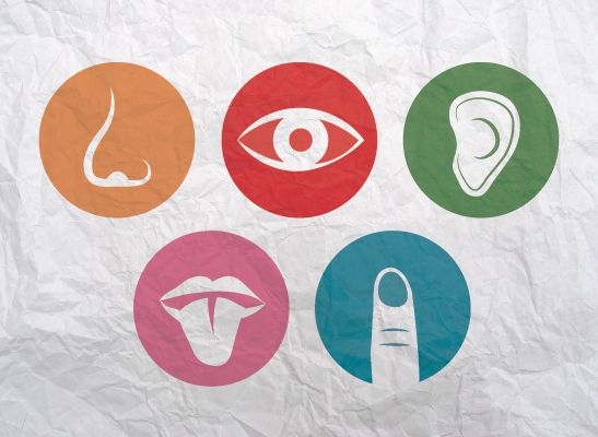 20f21ce83f9f4c8f281611bd309ec9c5