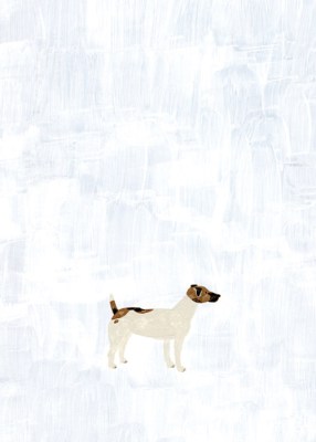 6955173364_228276bcdd_b