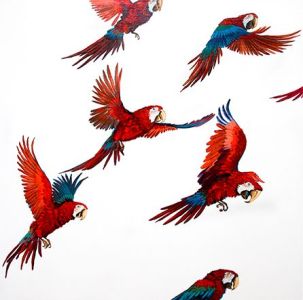 9ac3bf7cb9c6d5f3b202895a23350c0f