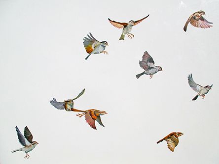 b46f7bd119f2de6d867f70268648ede3