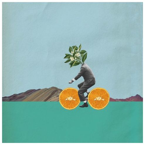 2337c3811b10f709665b816dc17c508c