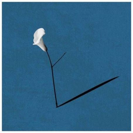 45e2dbcd2892d47c6146c883588fc9c8