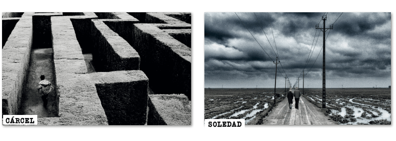 Capture d’écran 2020-02-05 à 3.00.13 PM