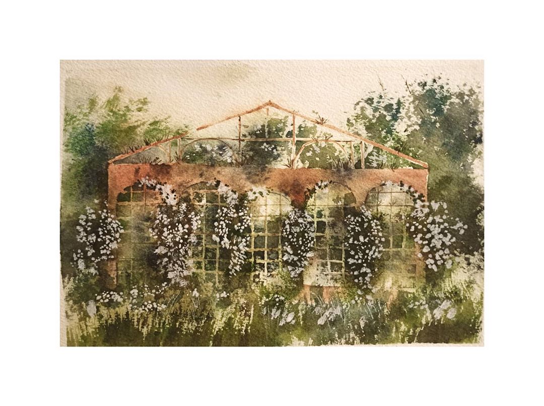 91166862_220421535707352_7577866444715627691_n