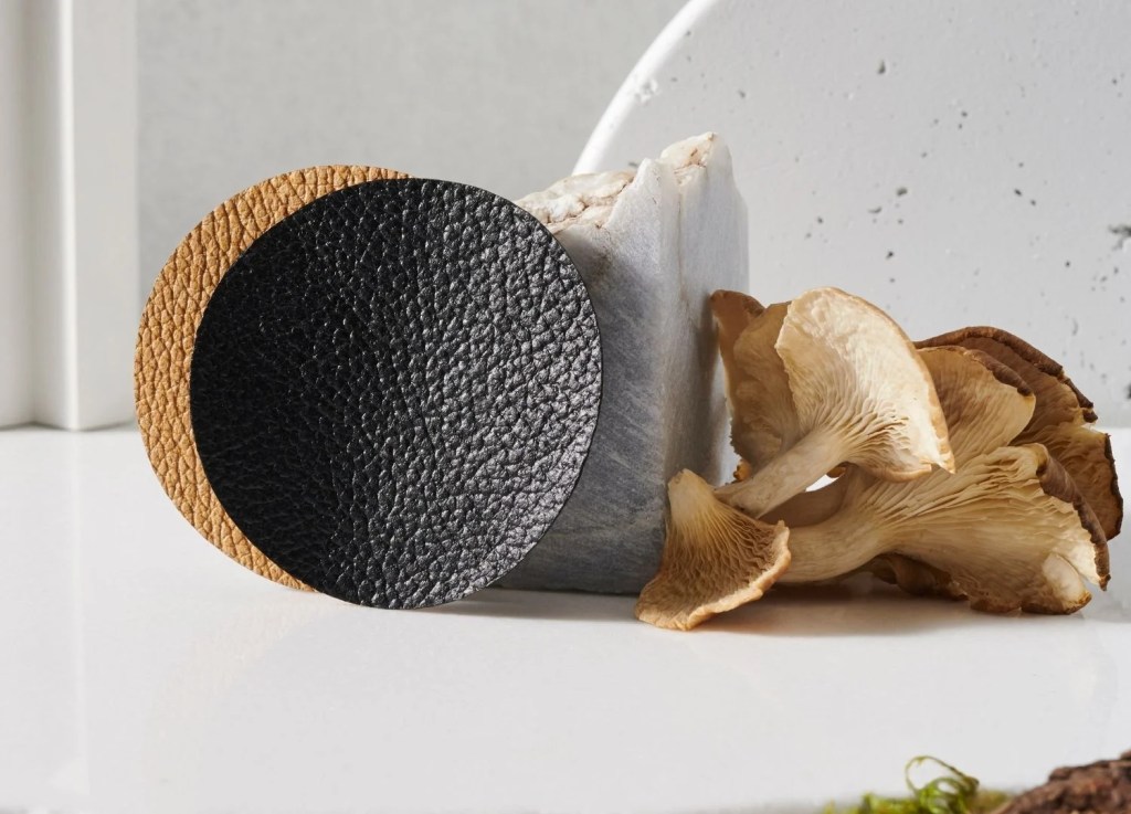 Mi armario sostenible